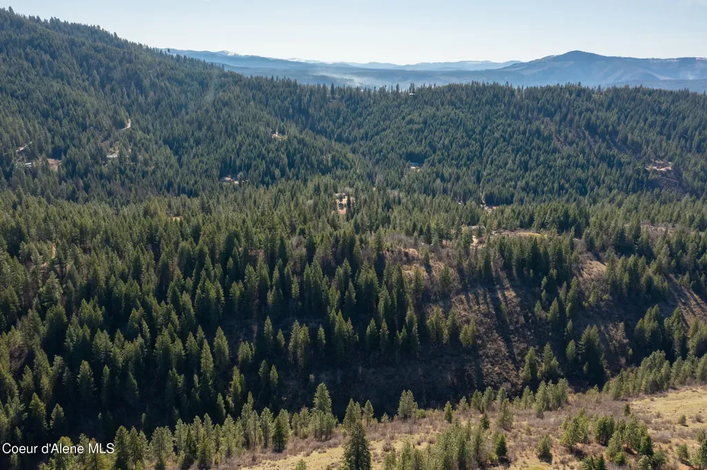Nna Timberland Drive Lot 4, 5, 6 St. Maries ID 83861