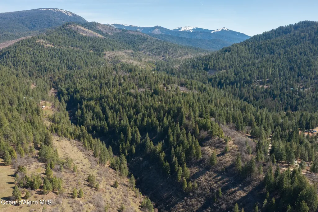 Nna Timberland Drive Lot 4, 5, 6 St. Maries ID 83861