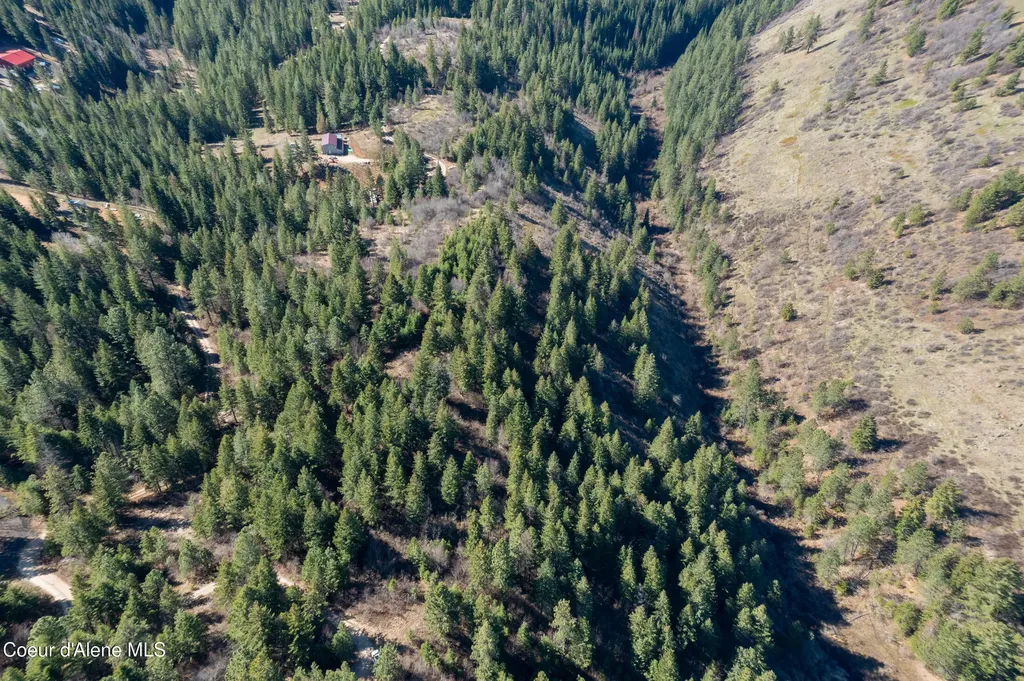 Nna Timberland Drive Lot 4, 5, 6 St. Maries ID 83861