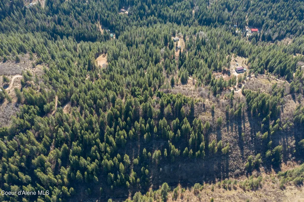 Nna Timberland Drive Lot 4, 5, 6 St. Maries ID 83861