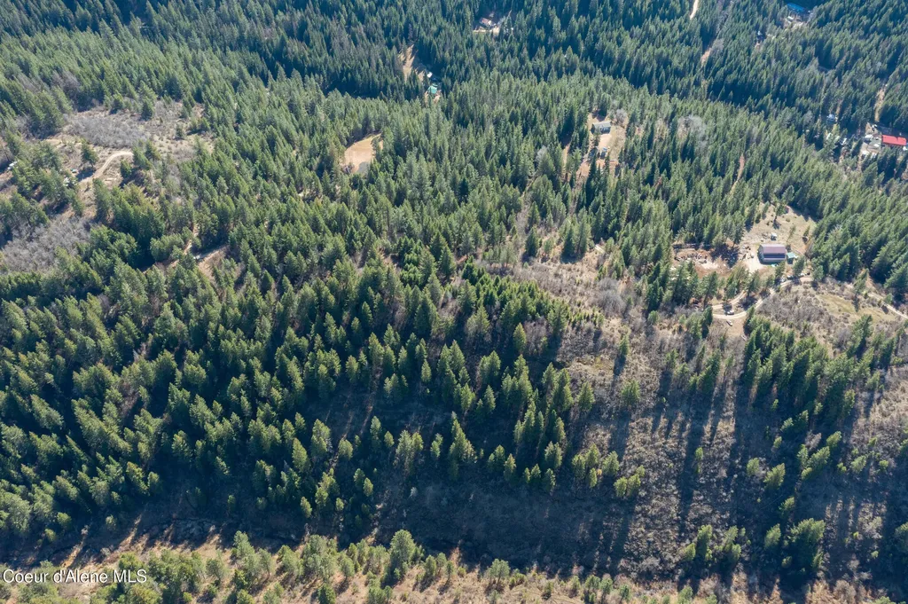 Nna Timberland Drive Lot 4, 5, 6 St. Maries ID 83861