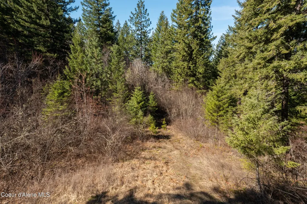 Nna Timberland Drive Lot 4, 5, 6 St. Maries ID 83861