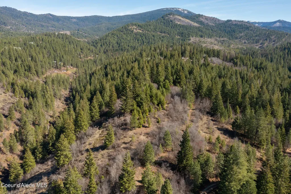 Nna Timberland Drive Lot 4, 5, 6 St. Maries ID 83861