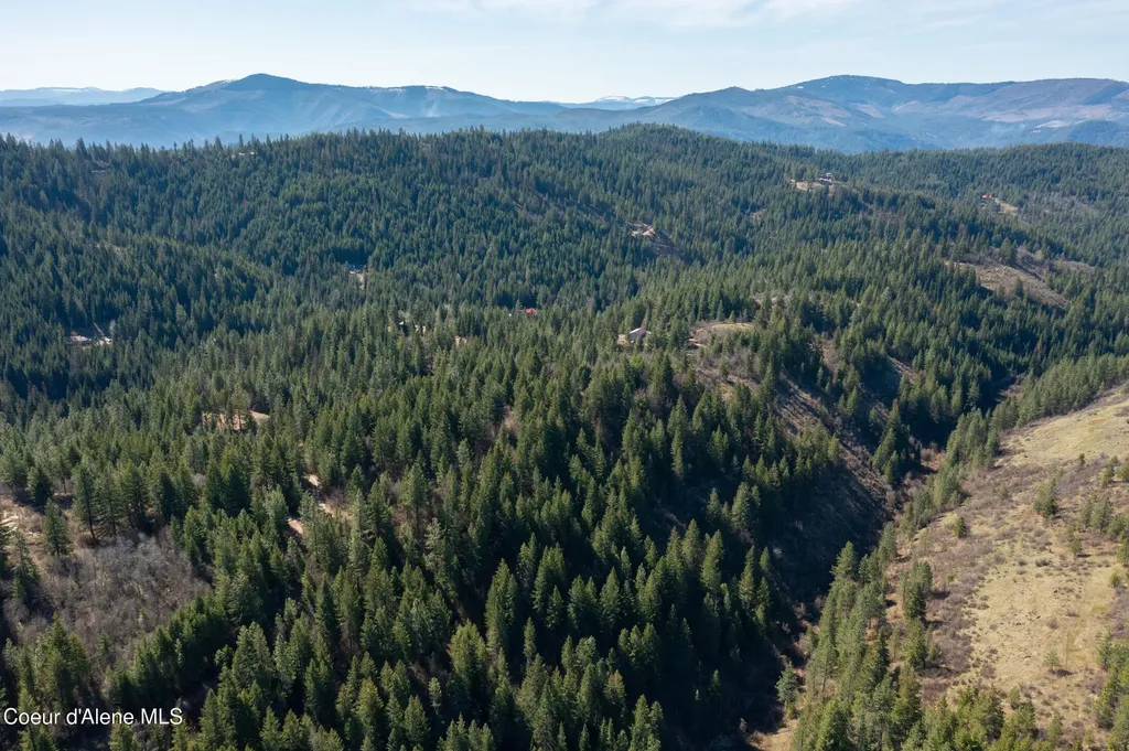 Nna Timberland Drive Lot 4, 5, 6 St. Maries ID 83861