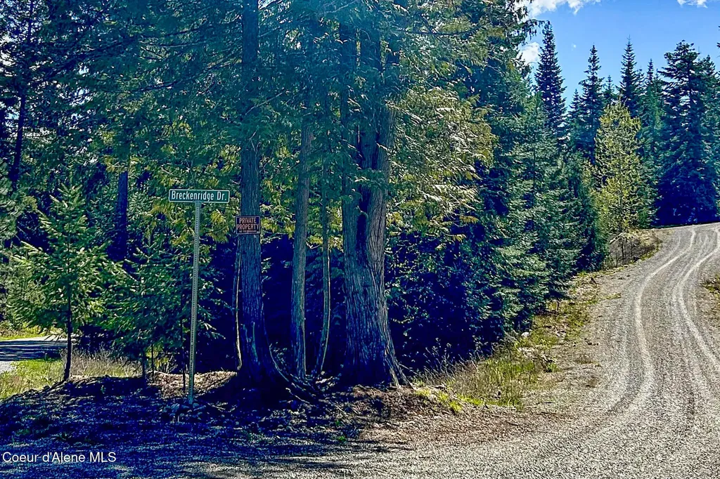 65 Cougar Ridge Lane Priest River ID 83856