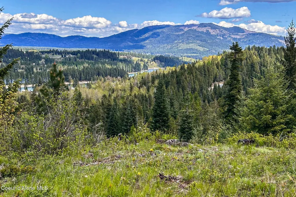 65 Cougar Ridge Lane Priest River ID 83856