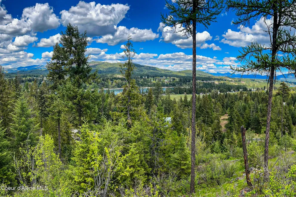 65 Cougar Ridge Lane Priest River ID 83856