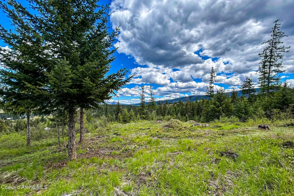 65 Cougar Ridge Lane Priest River ID 83856