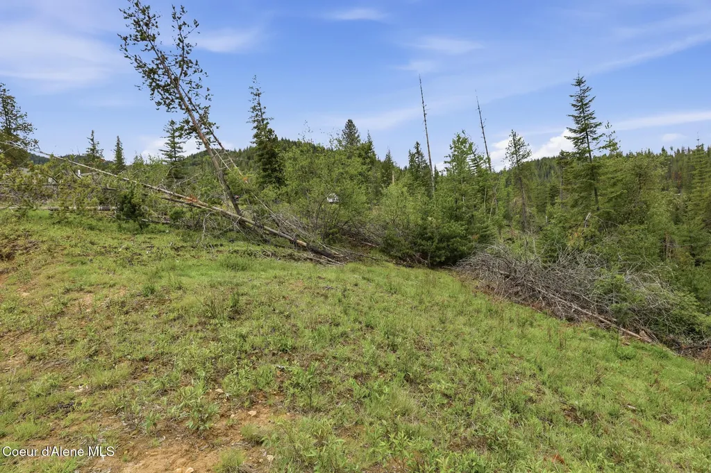 120 Blazing Saddle Court Pinehurst ID 83850