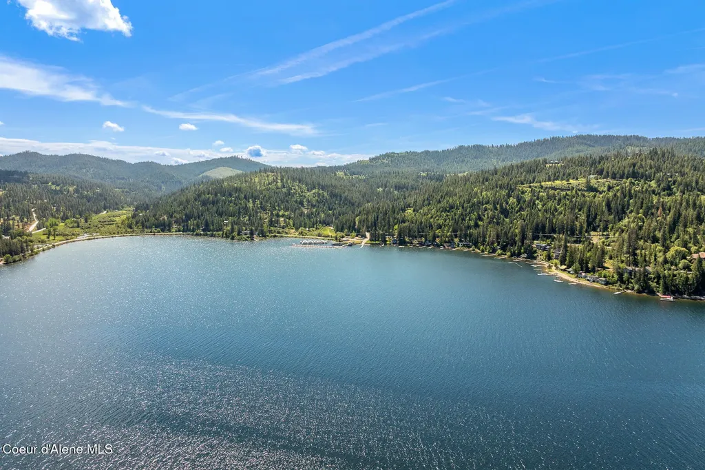 1699 E Thimbleberry Lane Harrison ID 83833