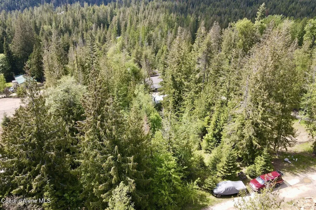 Nna Lot 4 Silver Reef Road Sagle ID 83860