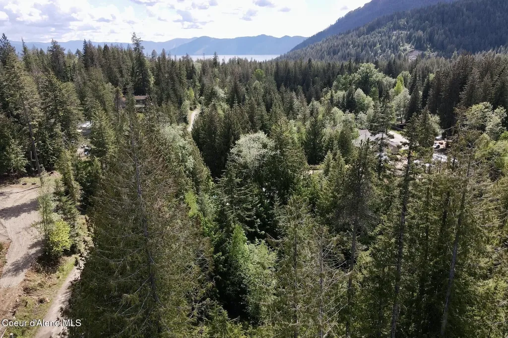 Nna Lot 4 Silver Reef Road Sagle ID 83860