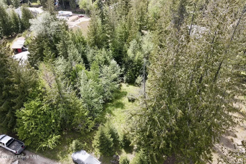 Nna Lot 4 Silver Reef Road Sagle ID 83860