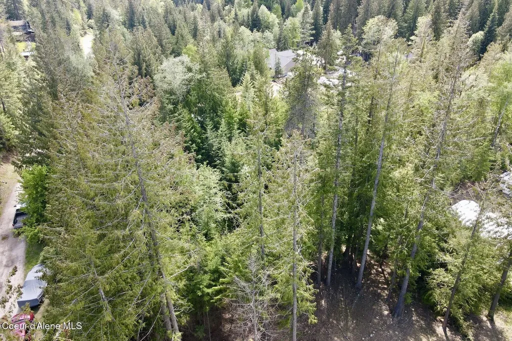 Nna Lot 4 Silver Reef Road Sagle ID 83860