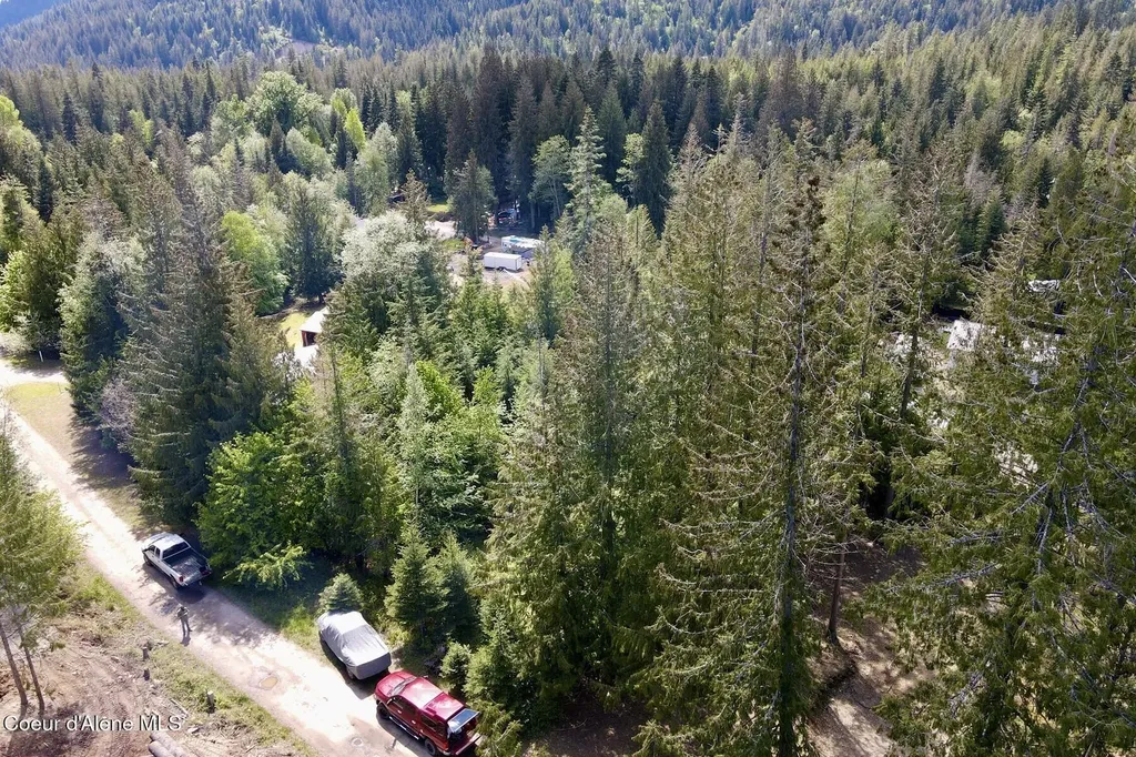 Nna Lot 4 Silver Reef Road Sagle ID 83860