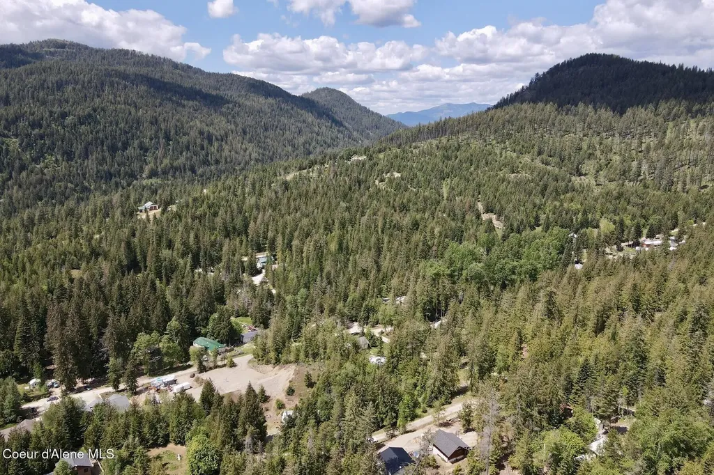 Nna Lot 4 Silver Reef Road Sagle ID 83860