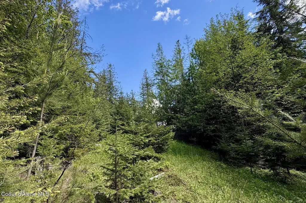 Nna Lot 4 Silver Reef Road Sagle ID 83860