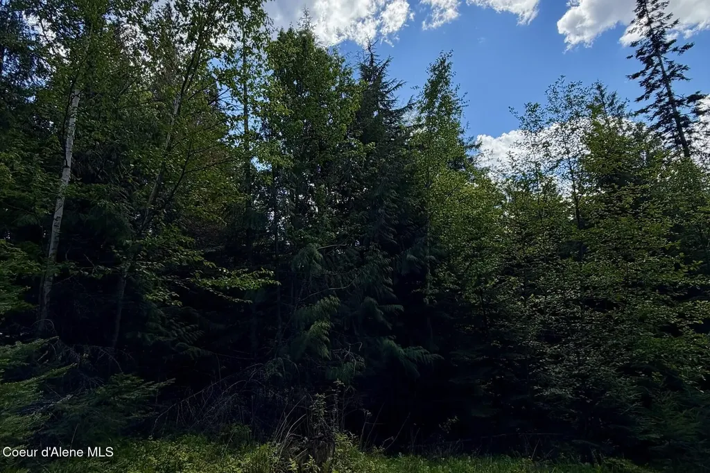 Nna Lot 4 Silver Reef Road Sagle ID 83860