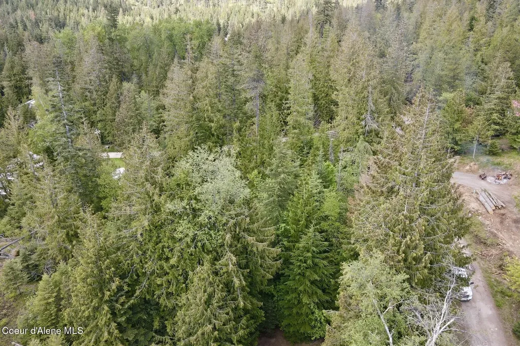 Nna Lot 4 Silver Reef Road Sagle ID 83860