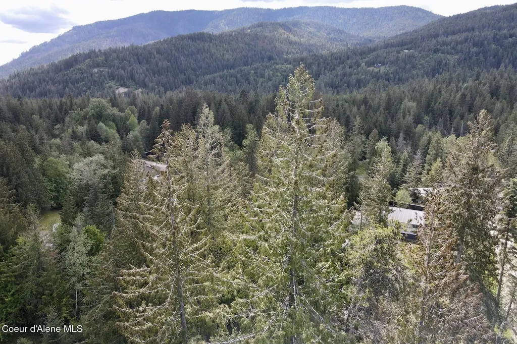 Nna Lot 4 Silver Reef Road Sagle ID 83860