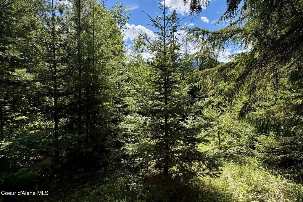 Nna Lot 4 Silver Reef Road Sagle ID 83860