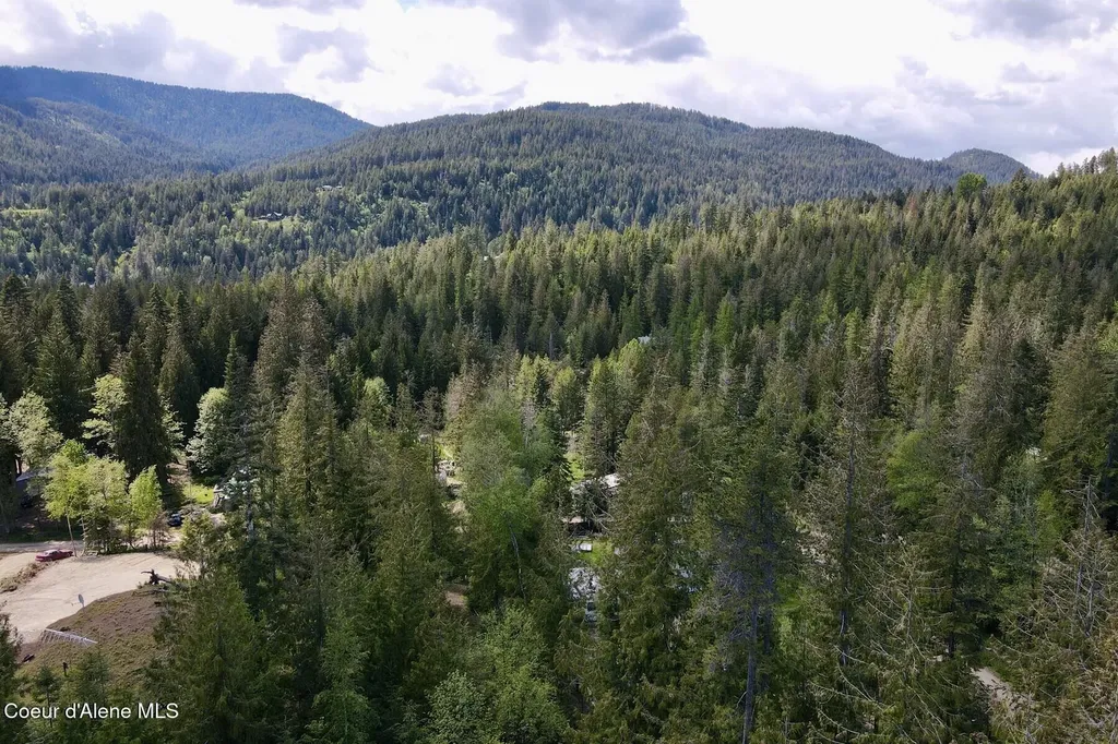 Nna Lot 4 Silver Reef Road Sagle ID 83860