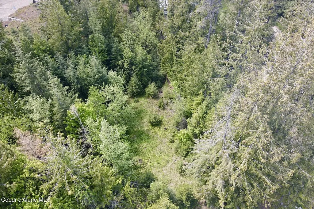Nna Lot 4 Silver Reef Road Sagle ID 83860