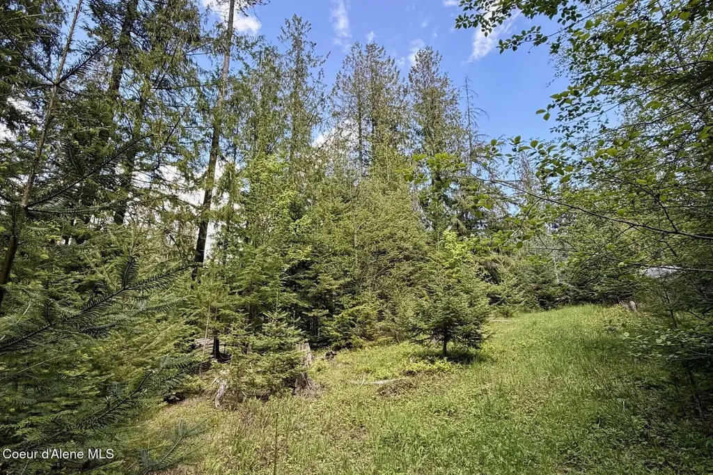 Nna Lot 4 Silver Reef Road Sagle ID 83860