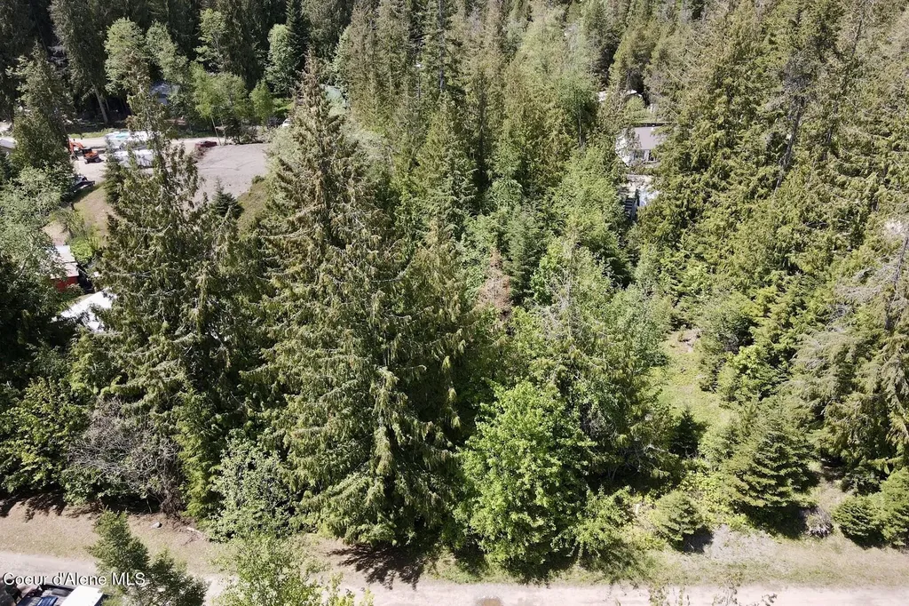 Nna Lot 4 Silver Reef Road Sagle ID 83860