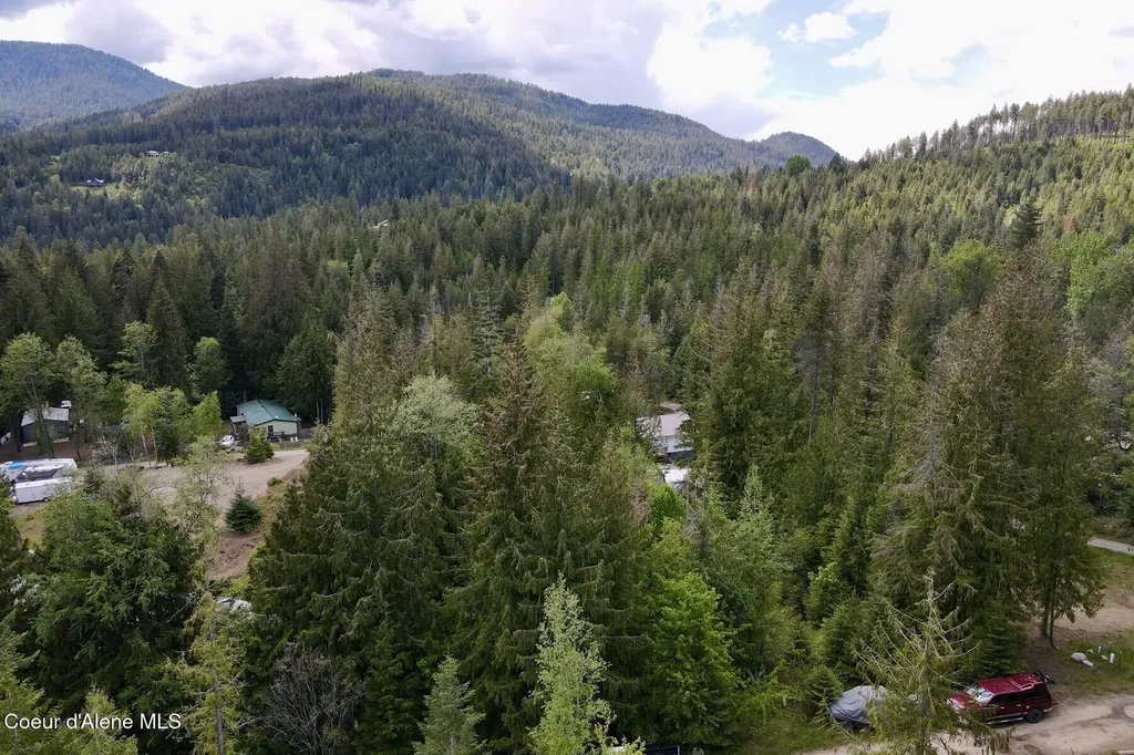 Nna Lot 4 Silver Reef Road Sagle ID 83860