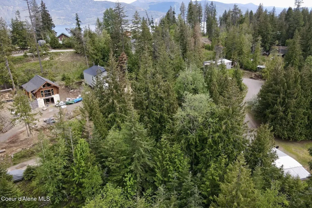 Nna Lot 4 Silver Reef Road Sagle ID 83860
