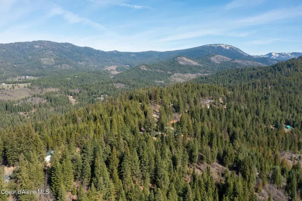 438 Ridgeview Drive St. Maries ID 83861