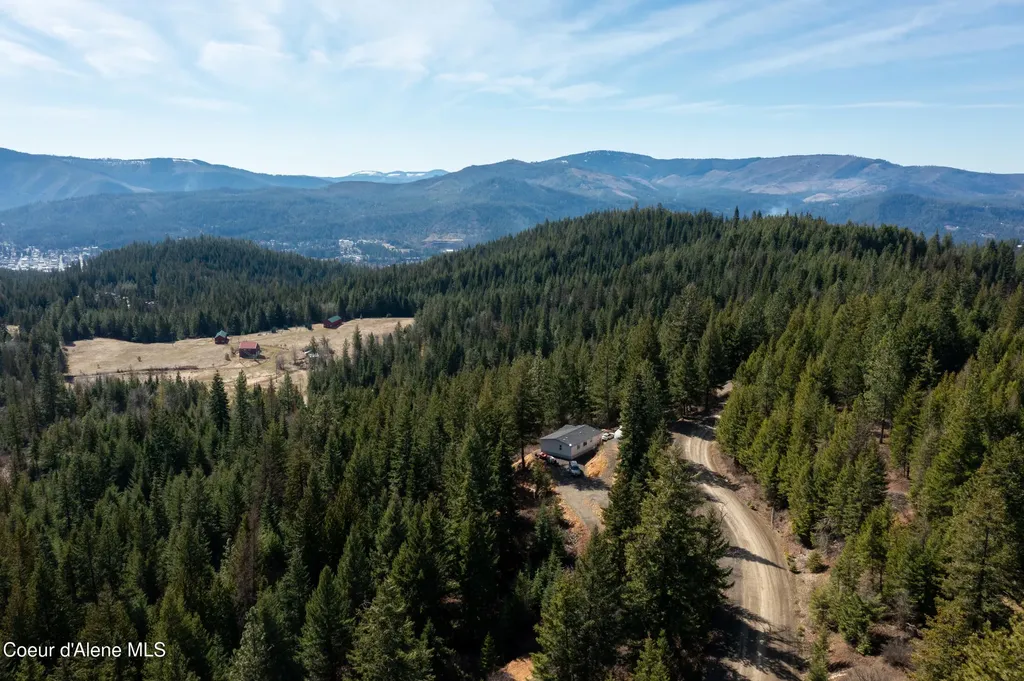 438 Ridgeview Drive St. Maries ID 83861