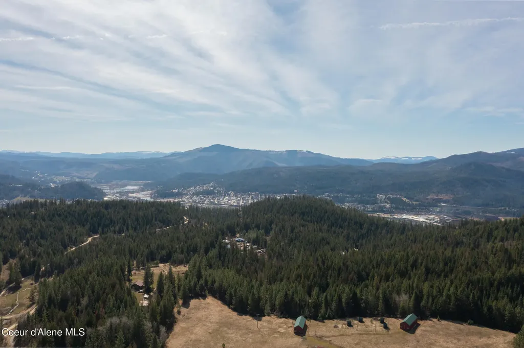 438 Ridgeview Drive St. Maries ID 83861
