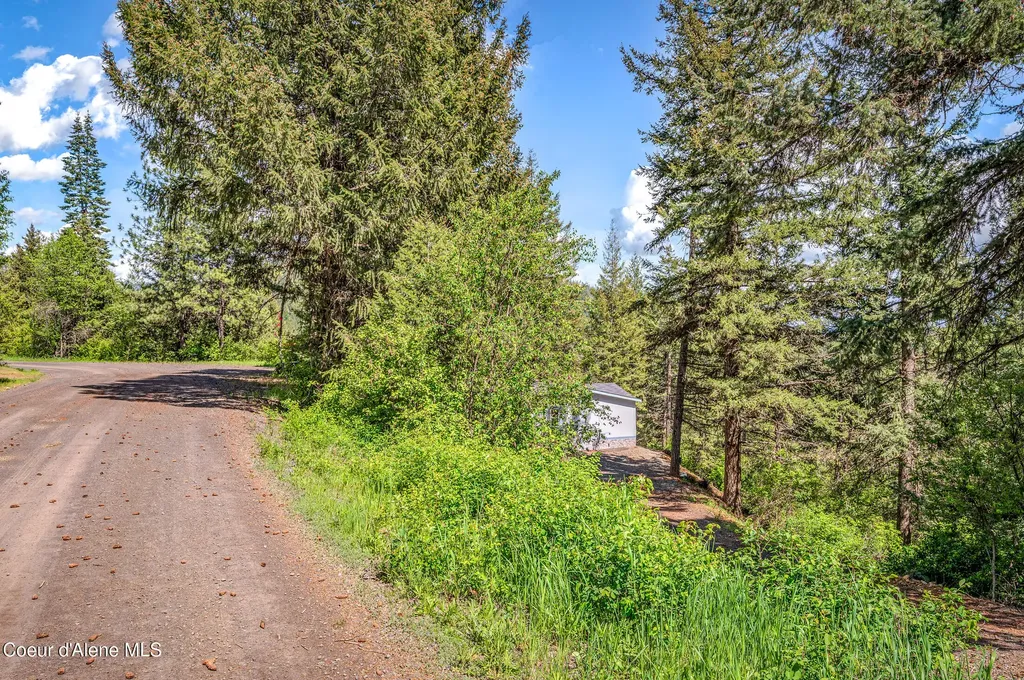 438 Ridgeview Drive St. Maries ID 83861