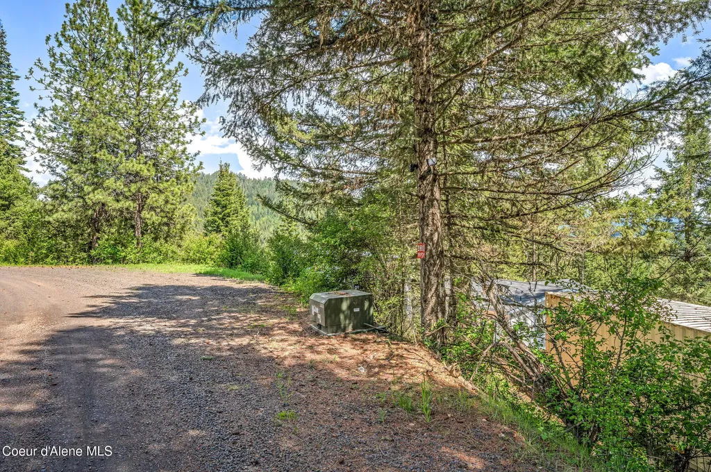 438 Ridgeview Drive St. Maries ID 83861