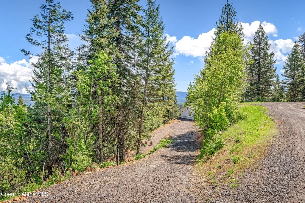 438 Ridgeview Drive St. Maries ID 83861