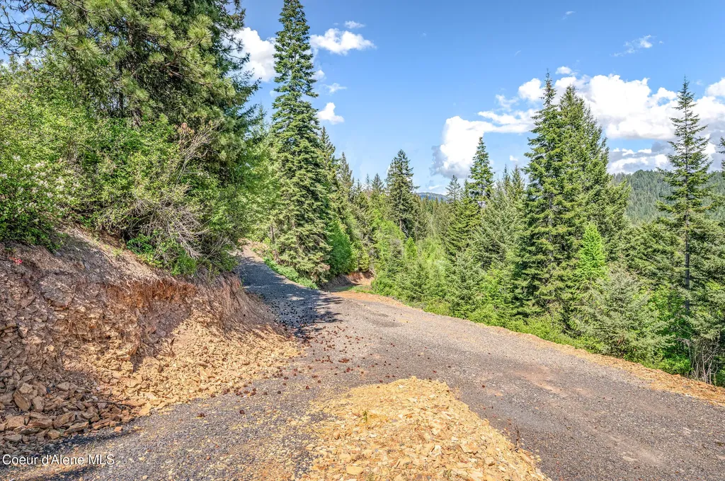 438 Ridgeview Drive St. Maries ID 83861