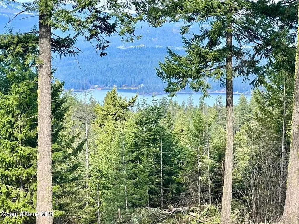 5758 E Burma Road Harrison ID 83833
