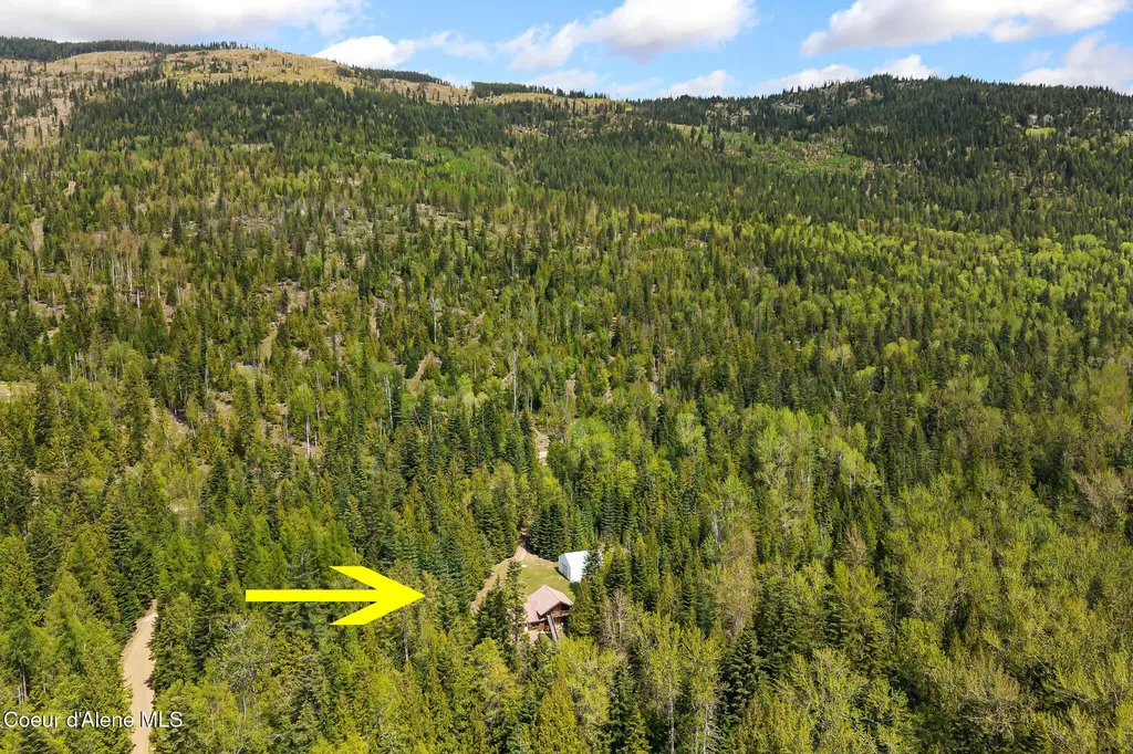 20 Larsen Ranch Lane Sandpoint ID 83864
