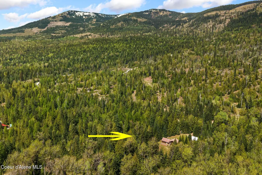 20 Larsen Ranch Lane Sandpoint ID 83864
