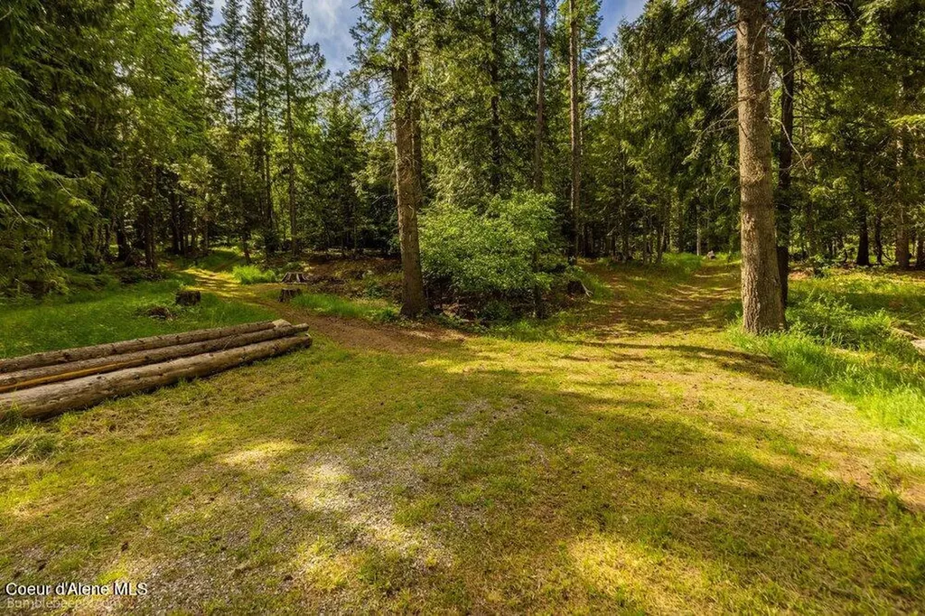1103 Huckleberry Mountain Road Cocolalla ID 83813