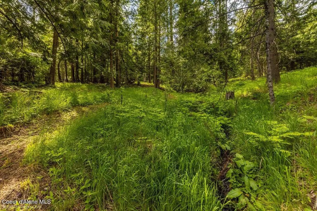 1103 Huckleberry Mountain Road Cocolalla ID 83813