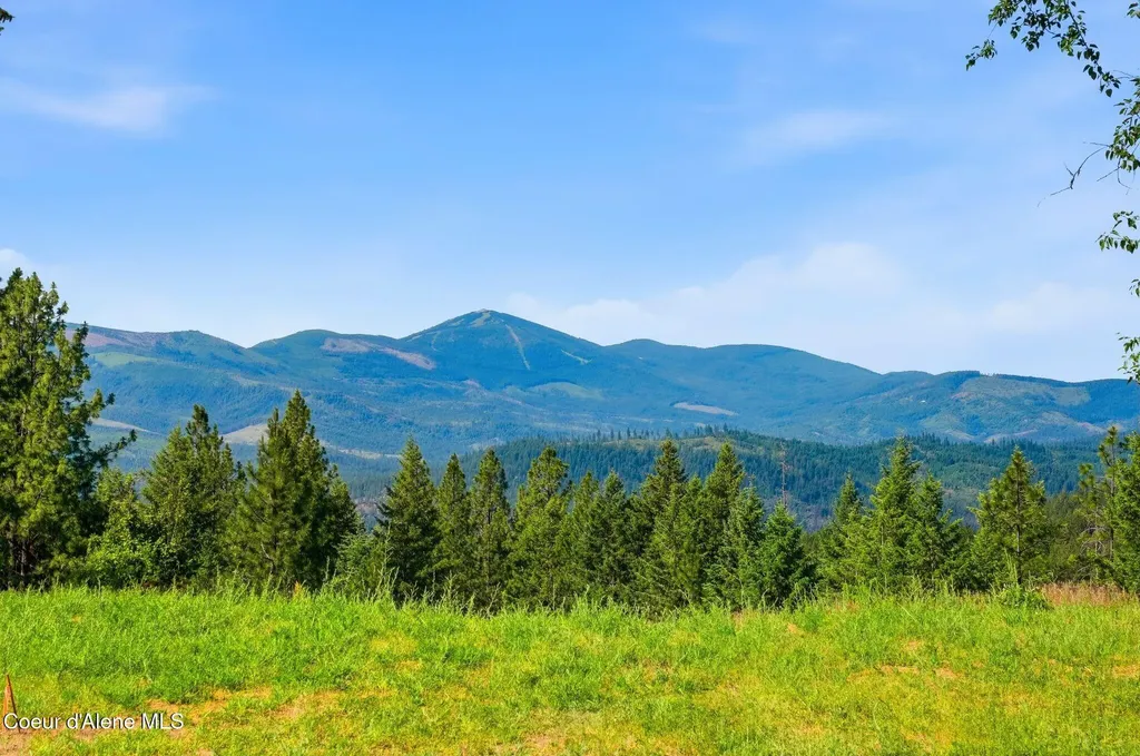 1710 Tower Mountain Road Blanchard ID 83804