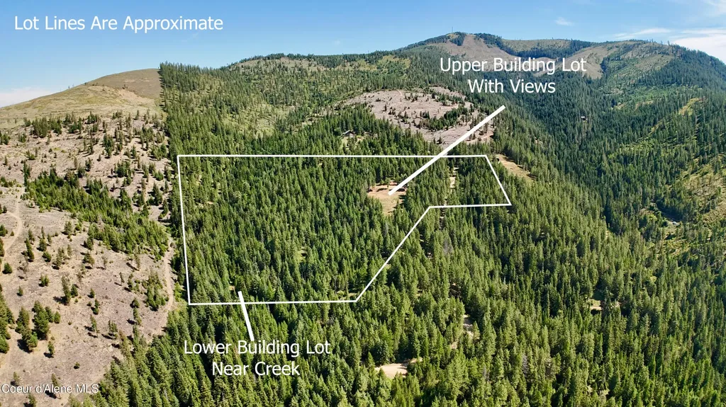 1710 Tower Mountain Road Blanchard ID 83804