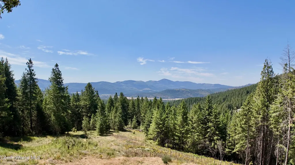 1710 Tower Mountain Road Blanchard ID 83804