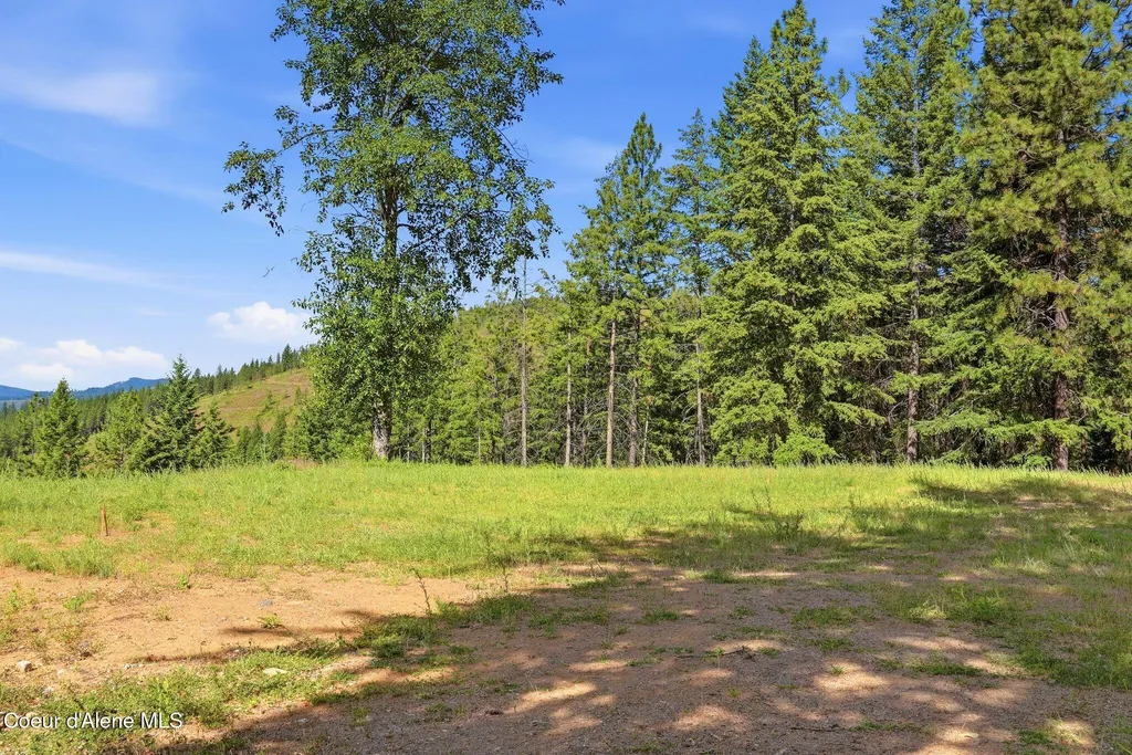 1710 Tower Mountain Road Blanchard ID 83804