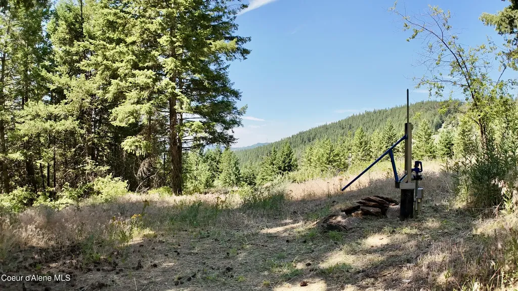 1710 Tower Mountain Road Blanchard ID 83804