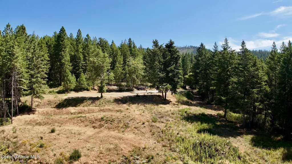 1710 Tower Mountain Road Blanchard ID 83804