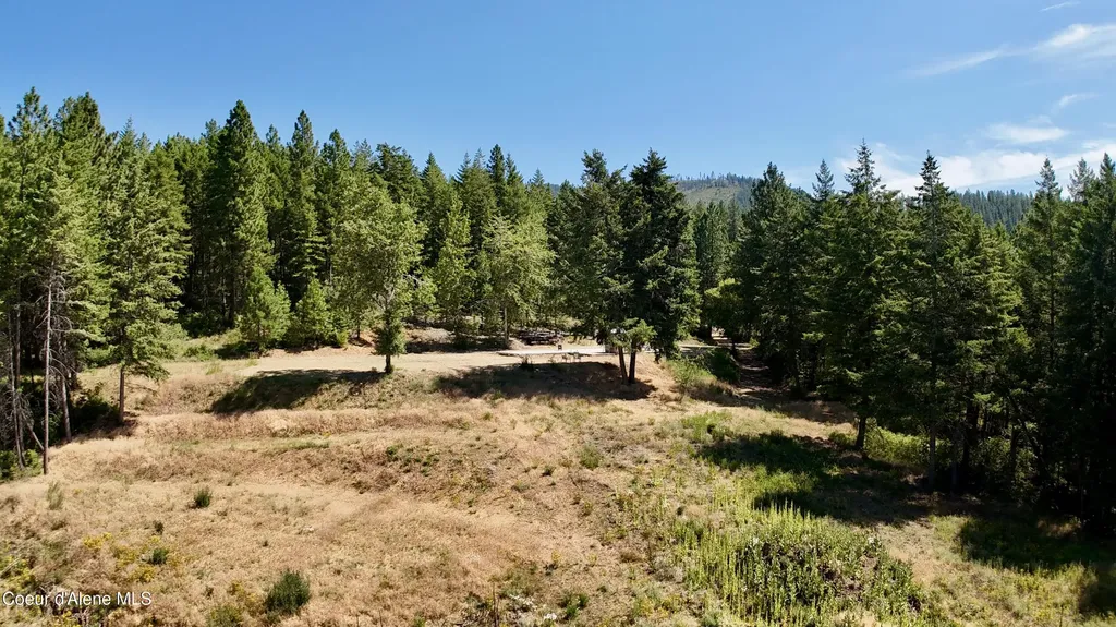 1710 Tower Mountain Road Blanchard ID 83804